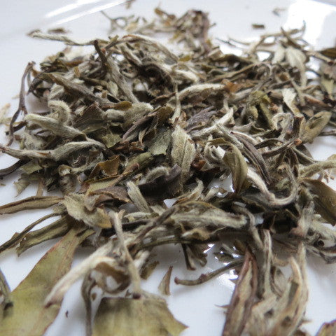 Leopard Snow Buds- Green Tea 130 grams